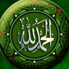 amiretward634