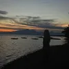 mydailydiary95