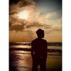 wll_zein4