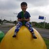 mateo828306