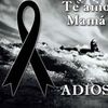 elpatriota_1.78
