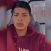 franko_mueses