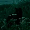 keino_jlililililli.i