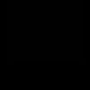 ninaayulestari015