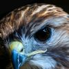photohunter_photography
