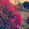 amalalghamdi111