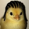 atxbraidplug