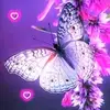 user80669093