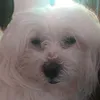 edytheflop
