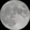 hf01353