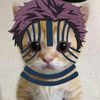 kitten_akaza