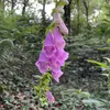naturepills