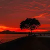 aquareladoceu