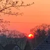 zahnzaubermaeuschen
