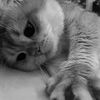 bbytch_