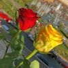 hasbunallah_23_09