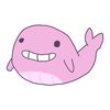 pinkkywhale