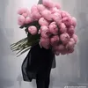 doantrangtr
