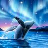 52hz_bluewhale