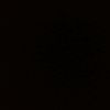 alaa__062