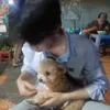 dauzuzu