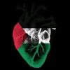 wafeqa.w5