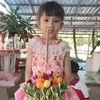 user19516978