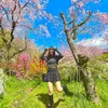 120579.moe