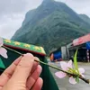 ngocbienphong