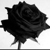 ghadamohamed267