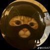 nitipong_00