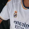 hmwdy_531