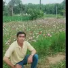 user19140707