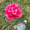 nawel7.7.7