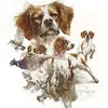 user07519612