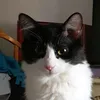 emipem71