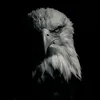eagle_.luxury