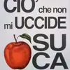 catania046