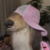 scorndog