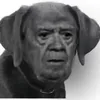 jujujuill