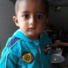 malikrashid3811