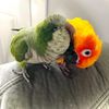 thatbirdchick