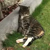 patsyben