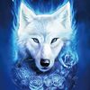 whitewolf5281