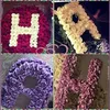 hebamohammad20