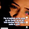 amarilismorales04