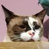 borboletavermelha2