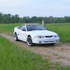 bryce94stang