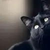 banana_78910
