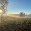 hollyfarm1